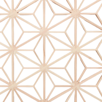 Ornamental Modern Design